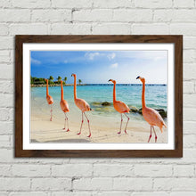 Load image into Gallery viewer, Flamingoes on Aruba Beach