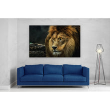 Load image into Gallery viewer, Lion Staring Portrait