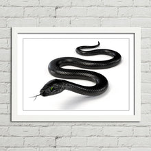 Load image into Gallery viewer, Black Snake with Forked Tongue