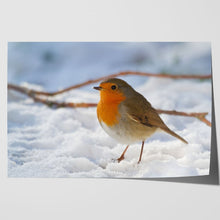 Load image into Gallery viewer, Robin Red Breast Winter Christmas Snow