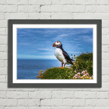 Load image into Gallery viewer, Puffin on Latrabjarg Cliffs
