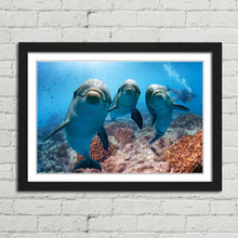 Load image into Gallery viewer, Cute Dolphins Underwater