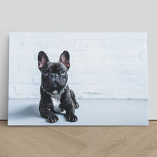 Load image into Gallery viewer, French Bulldog Puppy Cute Pet