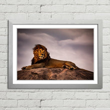 Load image into Gallery viewer, Lion King on Pride Rock