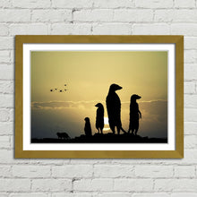 Load image into Gallery viewer, Meerkats at Sunset