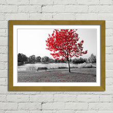 Load image into Gallery viewer, Red Tree Park Bench Lake Nature