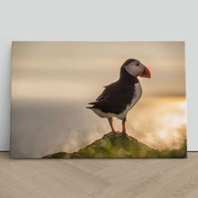 Load image into Gallery viewer, Atlantic Puffin in Mykines