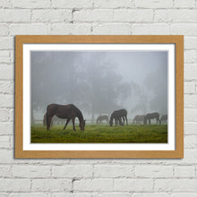 Load image into Gallery viewer, Horse Herd in Autumn