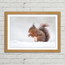 Load image into Gallery viewer, Red Squirrel in Snow England Winter