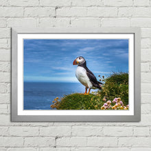Load image into Gallery viewer, Puffin on Latrabjarg Cliffs