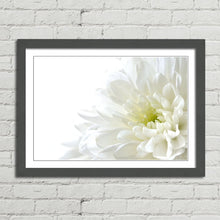 Load image into Gallery viewer, White Flower