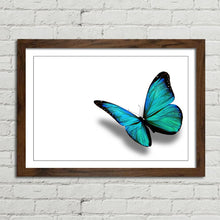 Load image into Gallery viewer, Turquoise Butterfly Nature