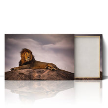 Load image into Gallery viewer, Lion King on Pride Rock