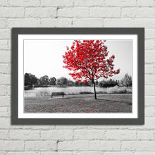 Load image into Gallery viewer, Red Tree Park Bench Lake Nature