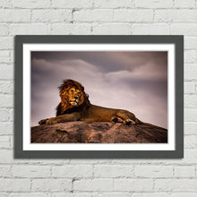 Load image into Gallery viewer, Lion King on Pride Rock