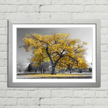 Load image into Gallery viewer, Large Tree with Yellow Leaves Central Park
