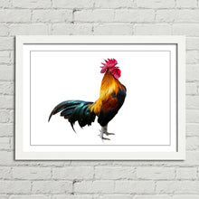 Load image into Gallery viewer, Rooster Cock Cockerel