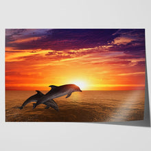 Load image into Gallery viewer, Dolphins Jumping at Sunset