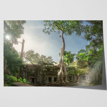 Load image into Gallery viewer, Ta Prohm Banyan Tree Angkor Wat