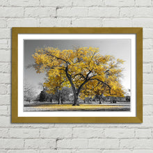 Load image into Gallery viewer, Large Tree with Yellow Leaves Central Park