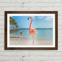 Load image into Gallery viewer, Pink Flamingo in Aruba