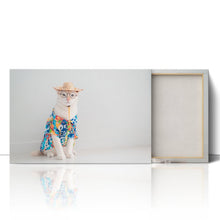 Load image into Gallery viewer, Cat on Holiday in Shirt Hat Funny Cute