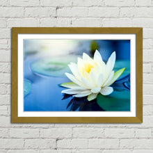Load image into Gallery viewer, White Lotus Flower in Pond