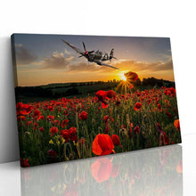 Load image into Gallery viewer, Poppy Field Spitfire Remembrance