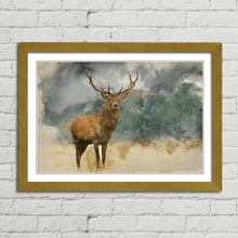 Load image into Gallery viewer, Red Deer Stag Watercolour Painting