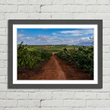 Load image into Gallery viewer, Coffee Plantation Pleiku Vietnam