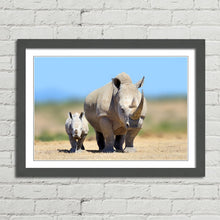 Load image into Gallery viewer, White Rhinoceros Baby