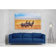 Load image into Gallery viewer, Zebras in Tanzania Savannah