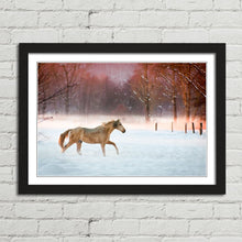 Load image into Gallery viewer, Horse Running in Snow