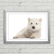 Load image into Gallery viewer, Polar Bear Cub Baby