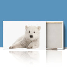 Load image into Gallery viewer, Polar Bear Cub Baby
