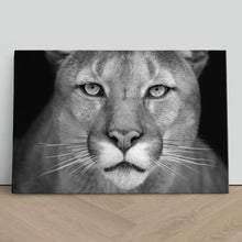 Load image into Gallery viewer, Puma Wild Cat