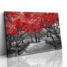 Load image into Gallery viewer, Red Trees Central Park New York