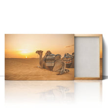 Load image into Gallery viewer, Camel in Sahara Desert at Sunset