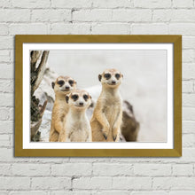 Load image into Gallery viewer, Meerkats Group Cute