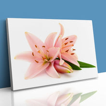 Load image into Gallery viewer, Pink Lillies Flowers
