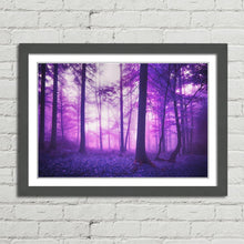 Load image into Gallery viewer, Mystic Fantasy Enchanted Forest