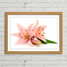 Load image into Gallery viewer, Pink Lillies Flowers