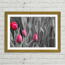 Load image into Gallery viewer, Pink Tulips in Black and White