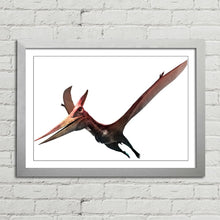 Load image into Gallery viewer, Pteranodon Flying Dinosaur