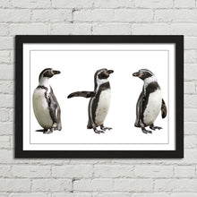 Load image into Gallery viewer, Cute Humboldt Penguin Family