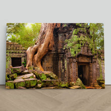 Load image into Gallery viewer, Ta Prohm Temple Cambodia