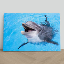 Load image into Gallery viewer, Dolphin Smiling Cute