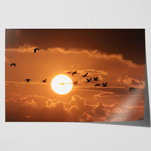 Load image into Gallery viewer, Cranes Flying at Sunset