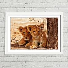 Load image into Gallery viewer, Cute Lion Cubs