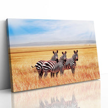 Load image into Gallery viewer, Zebras in Tanzania Savannah